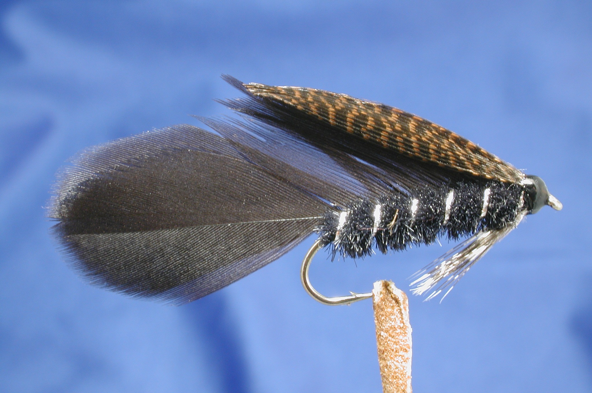 Ace of Spade Fly Fishing Flies with Fish4Flies Worldwide